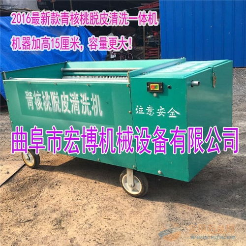 核桃脫皮機 青核桃除皮機 青核桃剝皮機